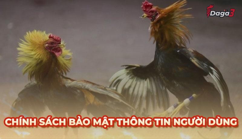 Chính sách bảo mật thông tin người dùng tại Cssaboars.io