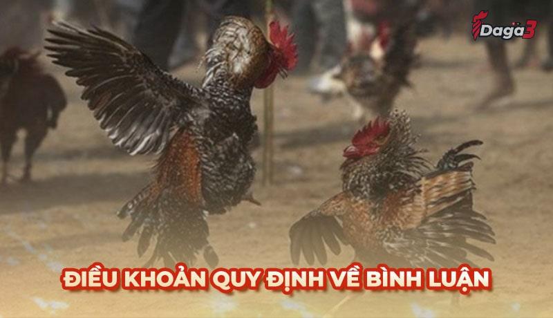 Người dùng cần tuân thủ một số điều khoản khi bình luận trên Cssaboars.io