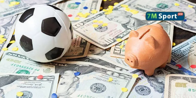 Tỷ lệ cược Odds là gì và vai trò của nó trong cá độ bóng đá